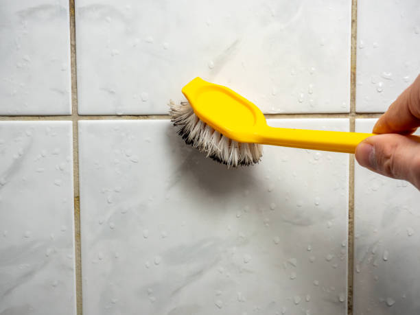 Best Fast Mold Removal  in Odon, IN