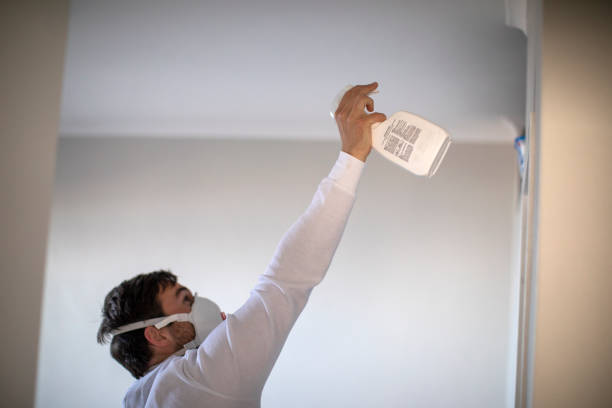 Best Affordable Mold Removal  in Odon, IN