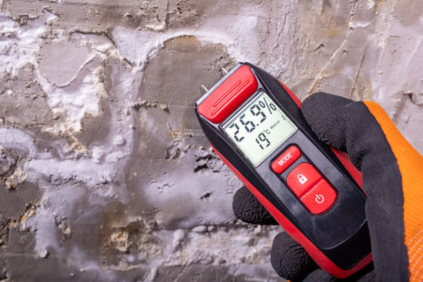 Best Mold Remediation Experts  in Odon, IN