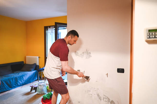 Trusted Odon, IN Mold Removal Experts